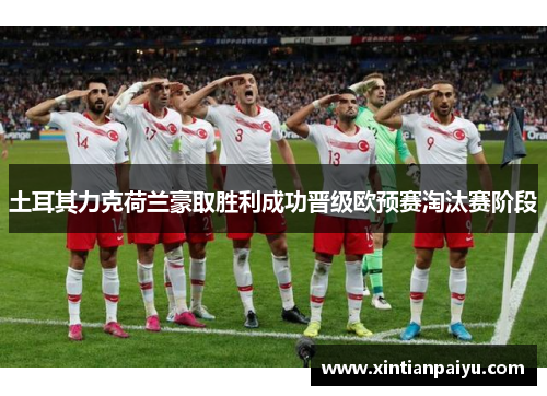 土耳其力克荷兰豪取胜利成功晋级欧预赛淘汰赛阶段