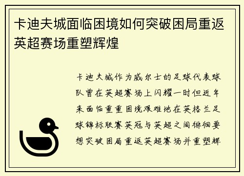 卡迪夫城面临困境如何突破困局重返英超赛场重塑辉煌